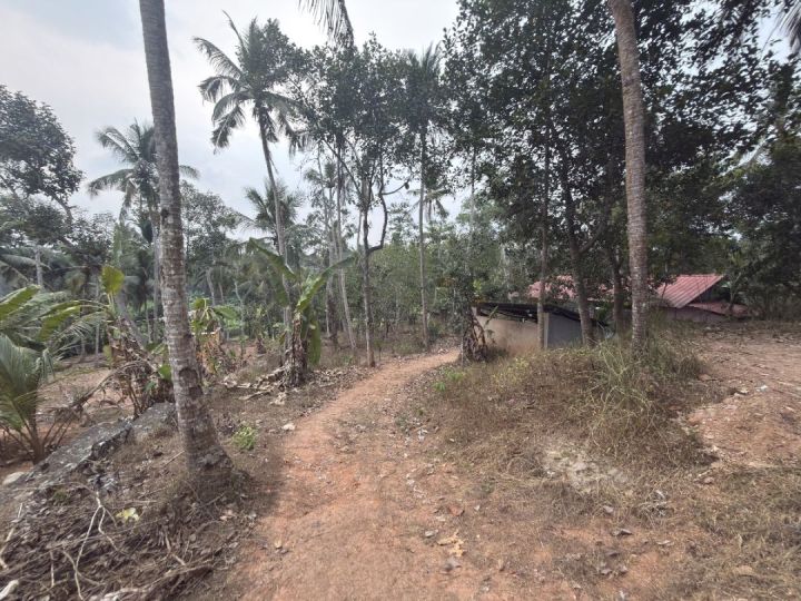 Plot for sale in thiruvanthapuram
