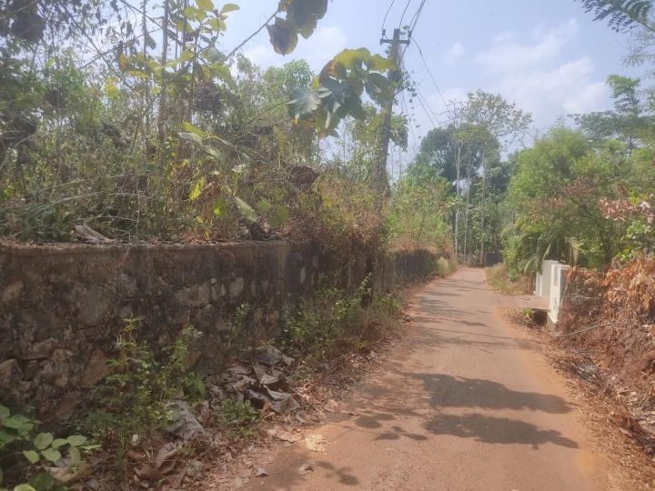 Fully compounded rectangular flat fertile Prime Commercial Land near Varikanserri Mana