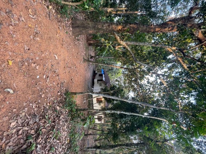 90 cent land and old house for sale