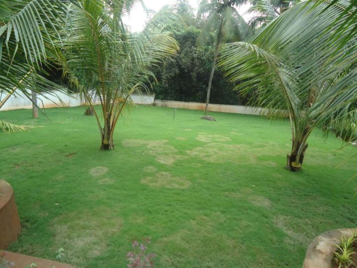 Residential Land-16 cent for sale in Elite garden, Puzhakkal, Thrissur.