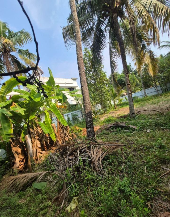 5 Cent Rectangular Plot for Sale – Prime Location Near Sankaramangalam, Chavara