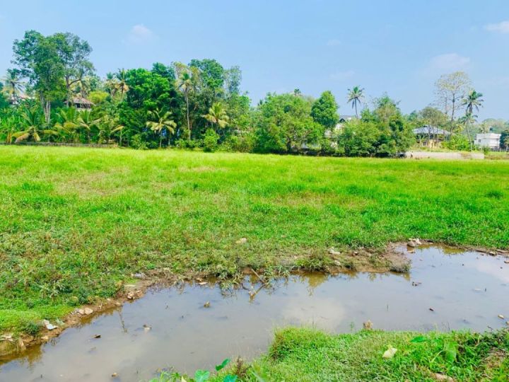 ചങ്ങനാശേരിൽ സ്ഥലം വില്പനയ്ക്ക്