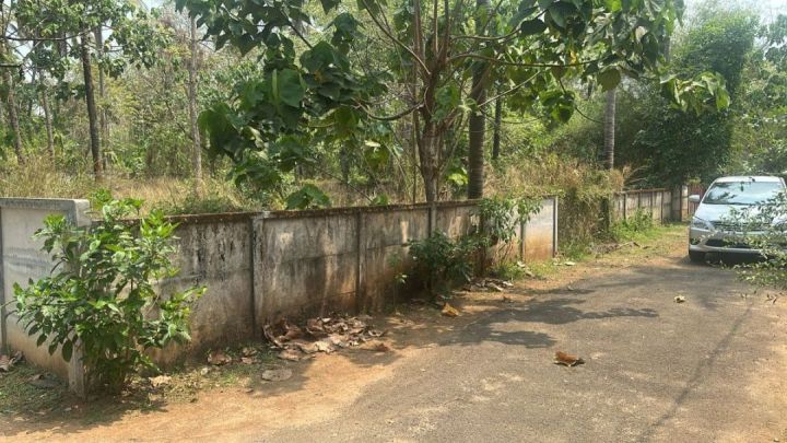 Residential Land for sale in Velappaya mulagunnathukavu, Thrissur