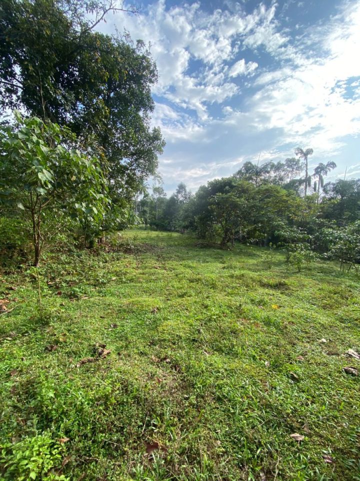 15 CENT SQUARE PLOT FOR SALE IN MADAPPALY, TEHNGANA WITH 4 METER ROAD ACCESS