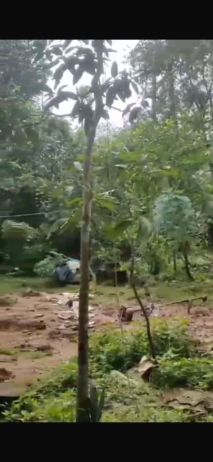 10 cent residential plot for sale