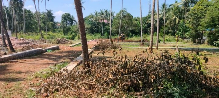 Residential Plots-9,10,14,20 cents for sale in Mannuthy, Thrissur.