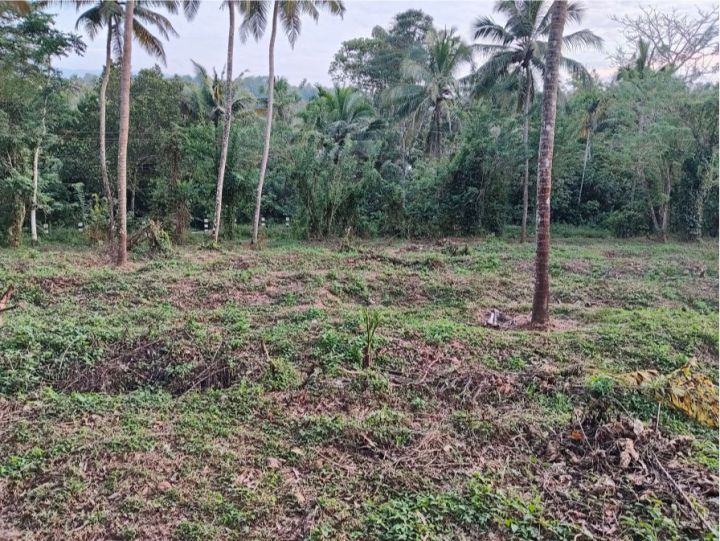 LAND FOR SALE - MYLADUMPARA - PEECHI DAM - THRISSUR DISTRICT - KERALA