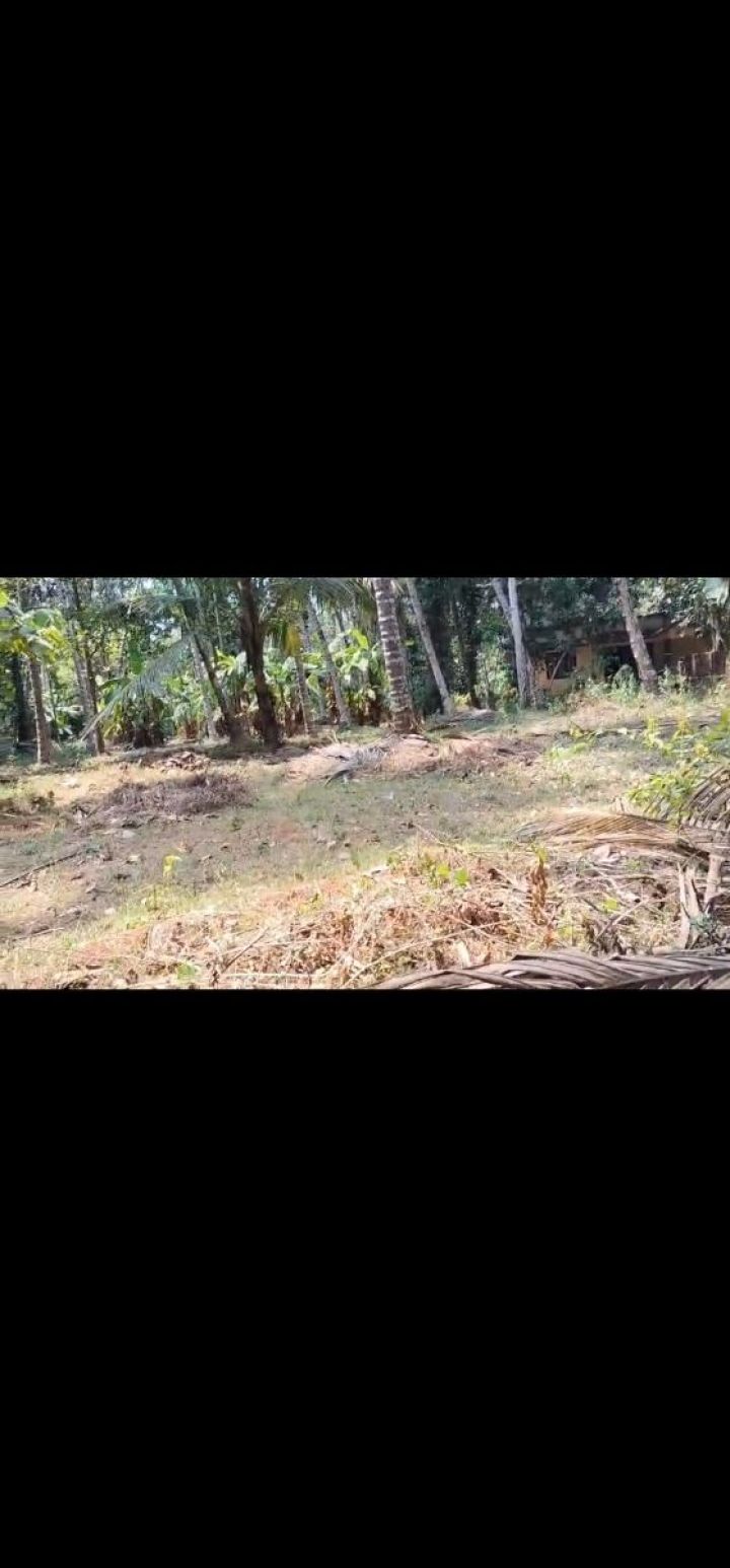 Property near kappad beach