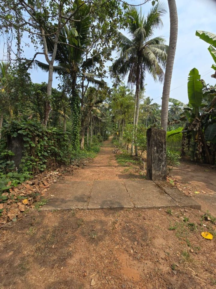 15 CENT SQUARE PLOT FOR SALE IN MADAPPALY, TEHNGANA WITH 4 METER ROAD ACCESS