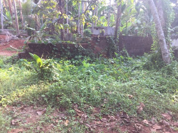 15 cent residential plot near to Kovoor Bazaar