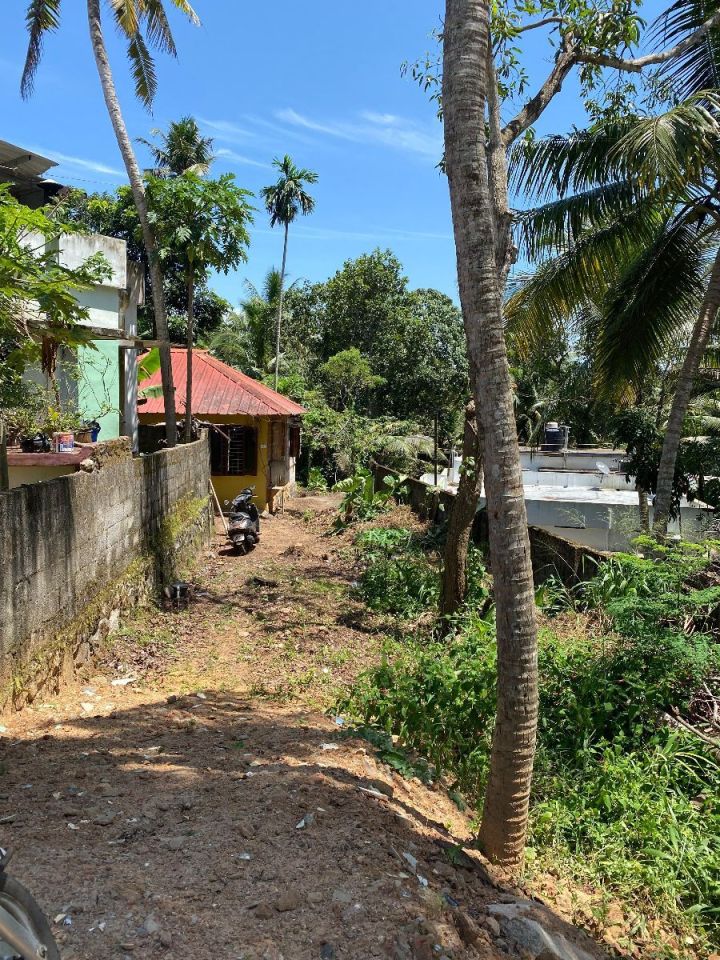 6 cent plot for sale at peyad junction urgent