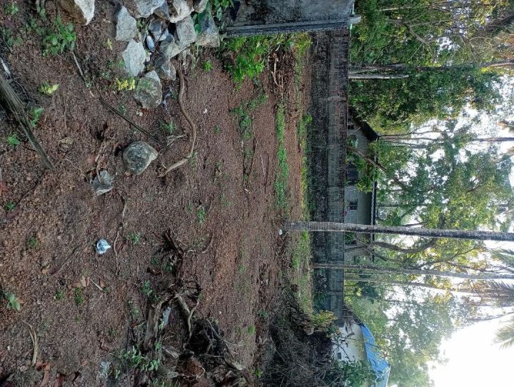 For sale in killy kattakada