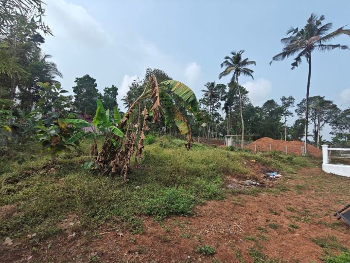 30 Cent Land + House near Eraviperoor Grama Panchayat