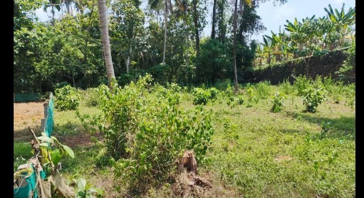 Prime 18 Cent Plot – Near NH‑183, Mundakkayam
