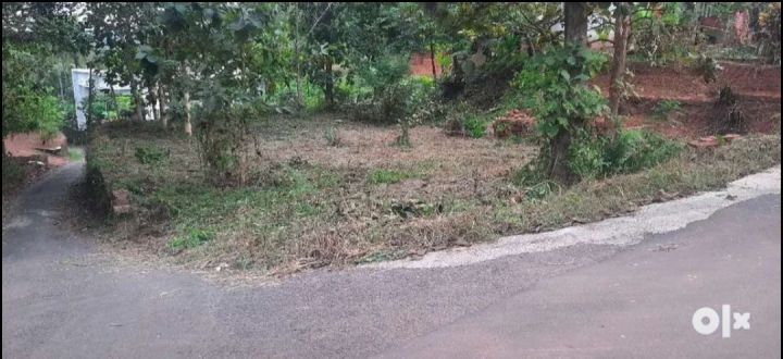 7 th mile, Vadakkancheri, Parad,