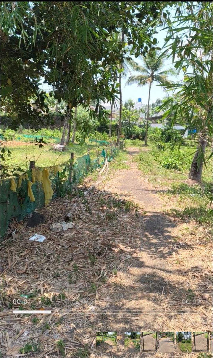 11 Cent Square Plot for Sale