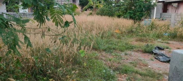 Residential Land-10 cents For sale in Kuttanellur- Anchery road, Thrissur.