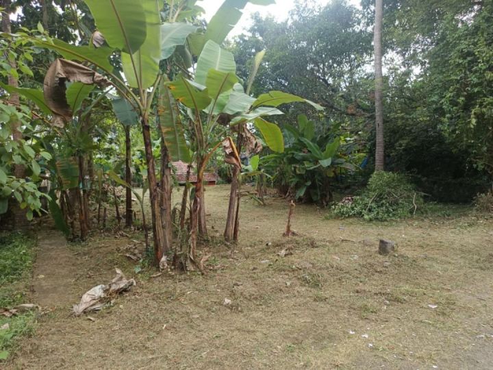 House plot well connected with public transport