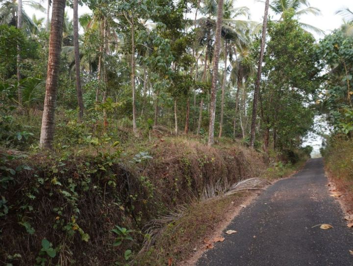 9 Acre Agricultural Land for Sale