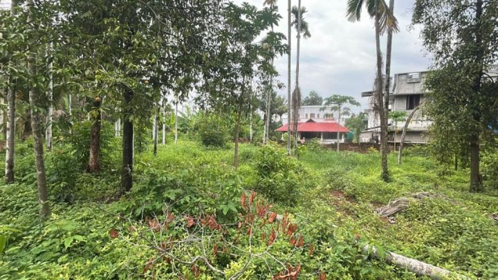 ? ? 38 Cents Prime Land with Well – Ideal for Home & Farming, Thrissur