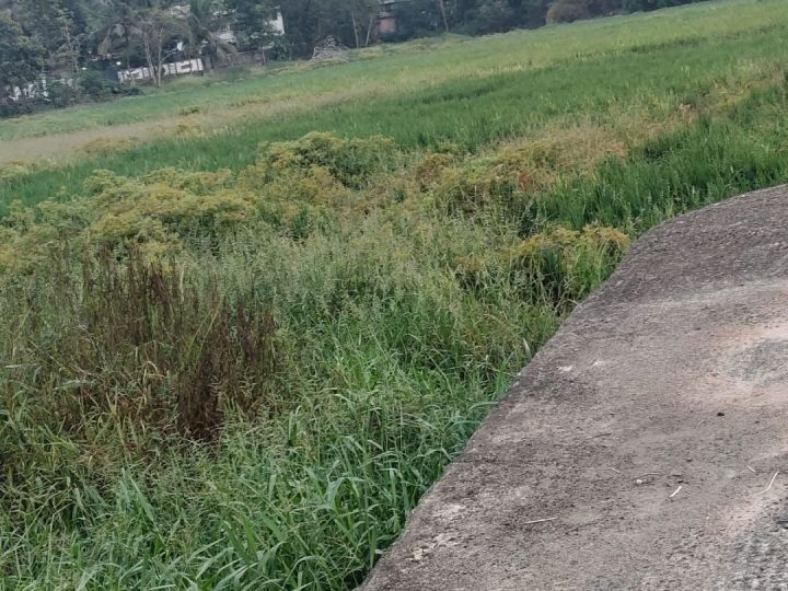 Property for sale in Manakkachira