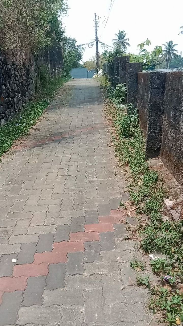 House plot sale in kanjikuzhy