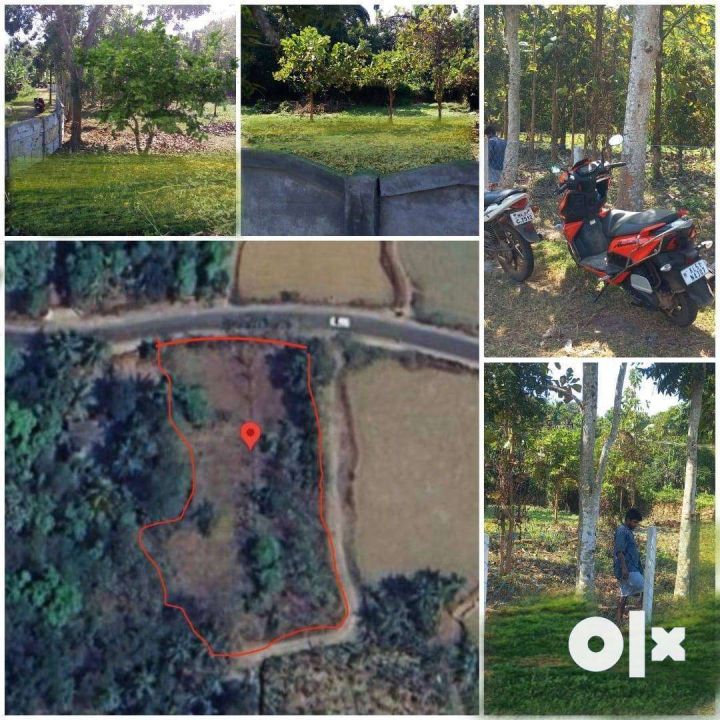 Chalavara Plots for sale if interested WhatsApp me