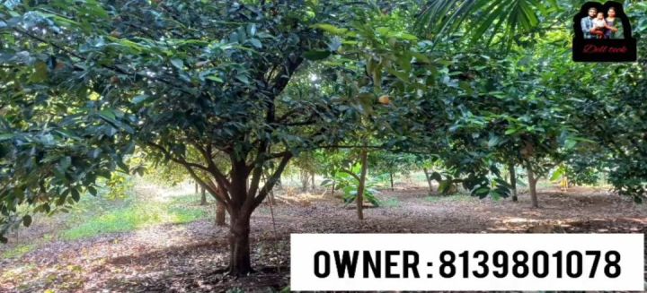 Roadside property for immediate sale Pariyaram, Chalakudy, Thrissur