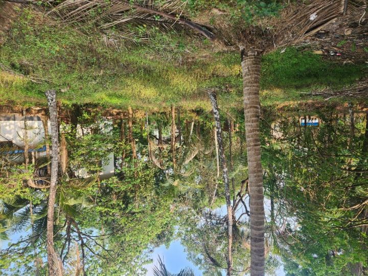 22 Cent Residential Land for Sale Near Andaloor Paalam, Thalassery