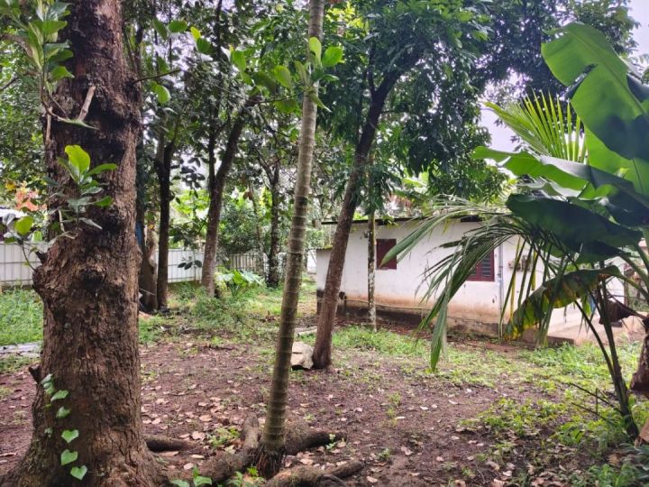 Residential property for sale