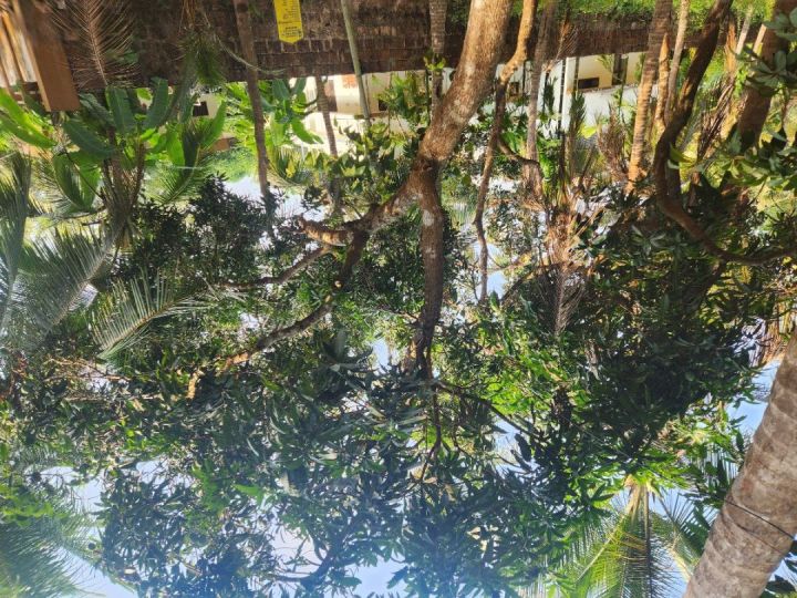 22 Cent Residential Land for Sale Near Andaloor Paalam, Thalassery