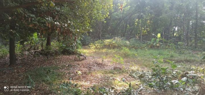 Residential Plot at Puthiyedom for Sale