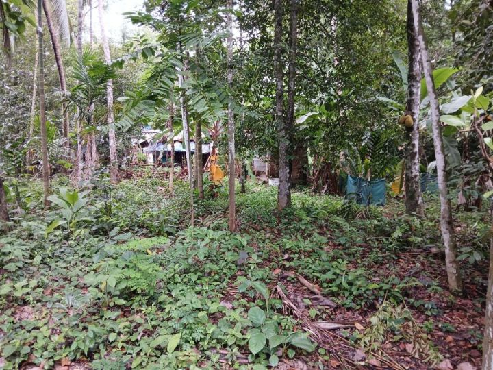 RESIDENTIAL LAND FOR SALE