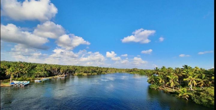 BEAUTIFUL 6 ACRES OF ISLAND PROPERTY FOR SALE