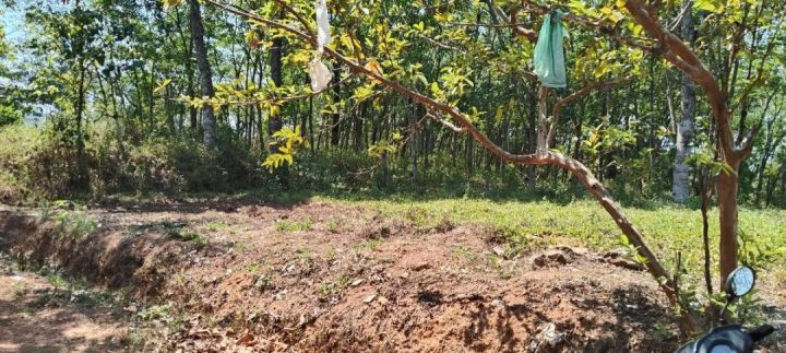 Residential Property For Sale in Enathu, Adoor, 16 cents
