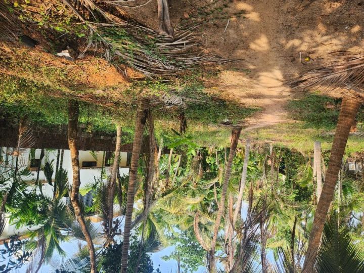 22 Cent Residential Land for Sale Near Andaloor Paalam, Thalassery