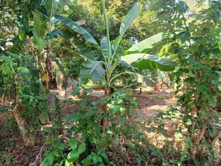 Roadside property for immediate sale Pariyaram, Chalakudy, Thrissur