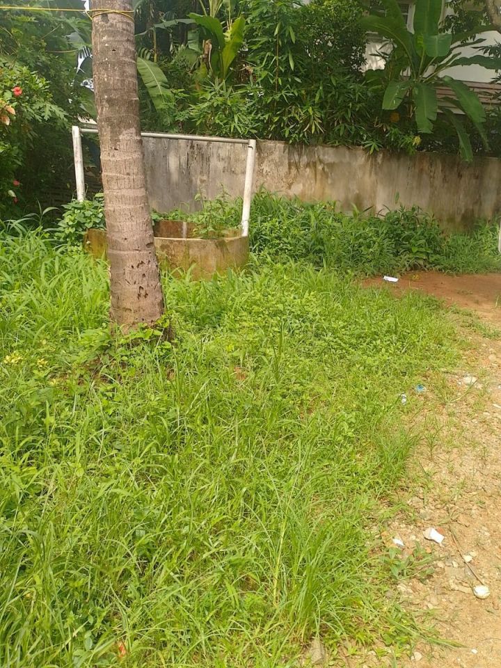 Prime Residential Plot-11.5 cents for Sale in Cheroor, Thrissur | Real Estate Thrissur
