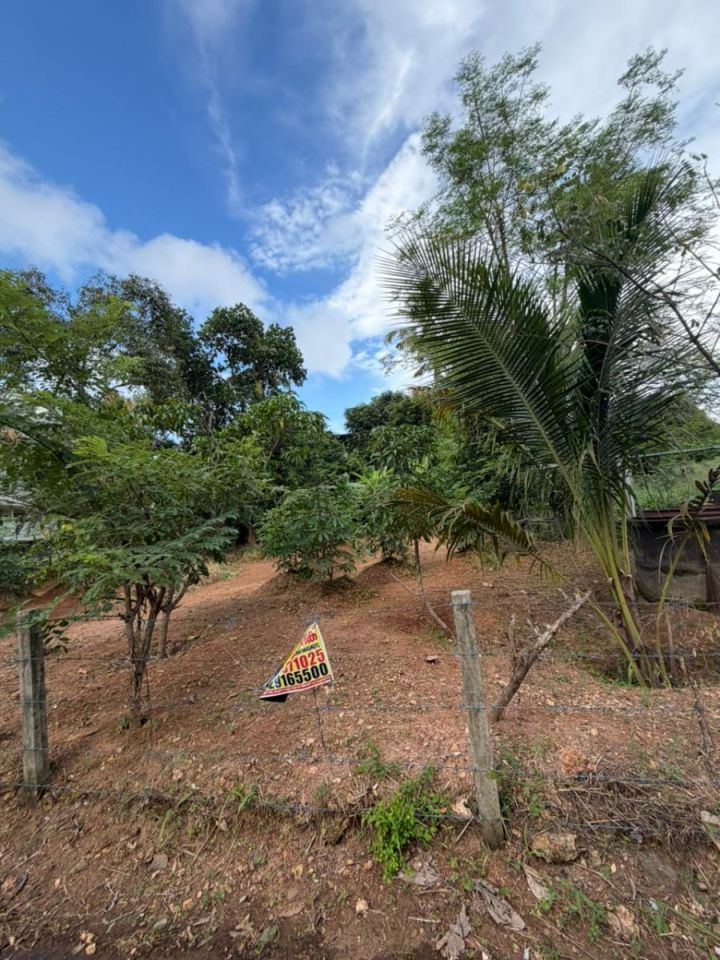 Residential Land for Sale in Koorkenchery – Chiyyaram Main Road, Thrissur