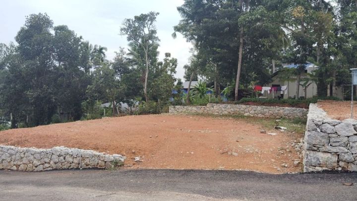 PLOT FOR SALE NEAR SREEKARIYAM