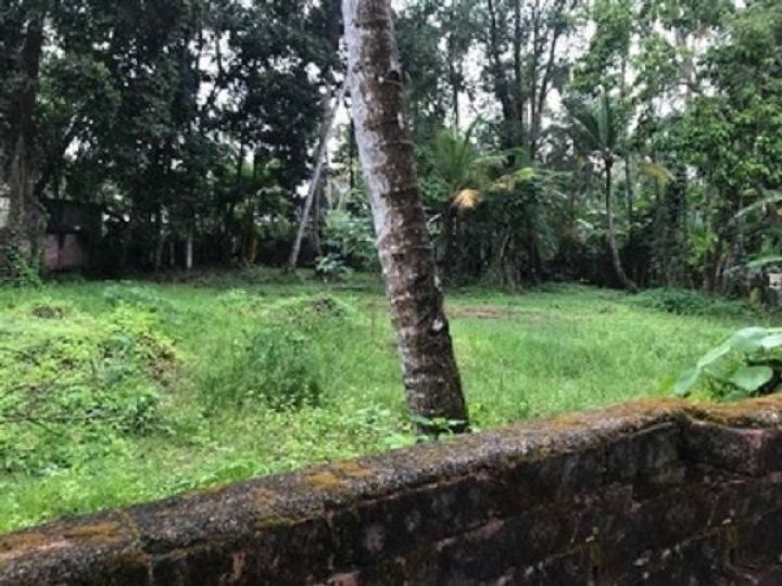 Residential land for sale in kollam ,chavara