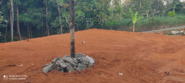 10 Cent Residential Plot for Sale in Kuttilanji, Kothamangalam