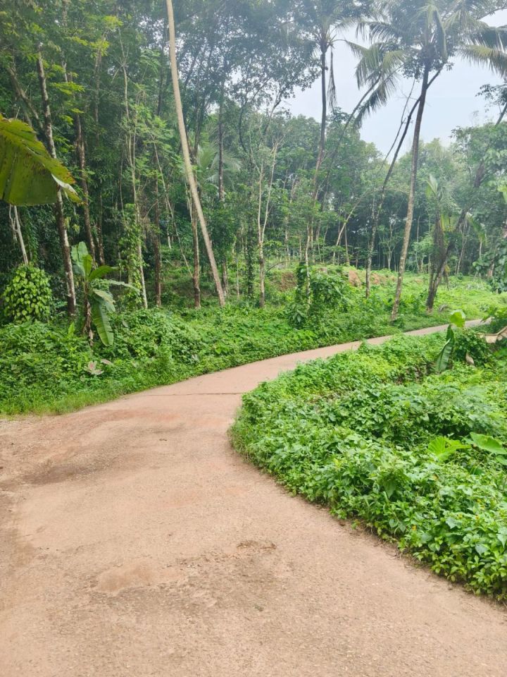 20 cent House Plot for Sale in Nilamel