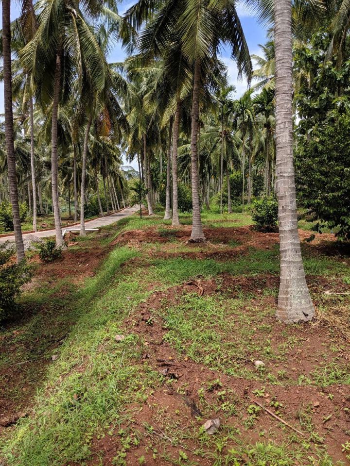 River facing property for sale