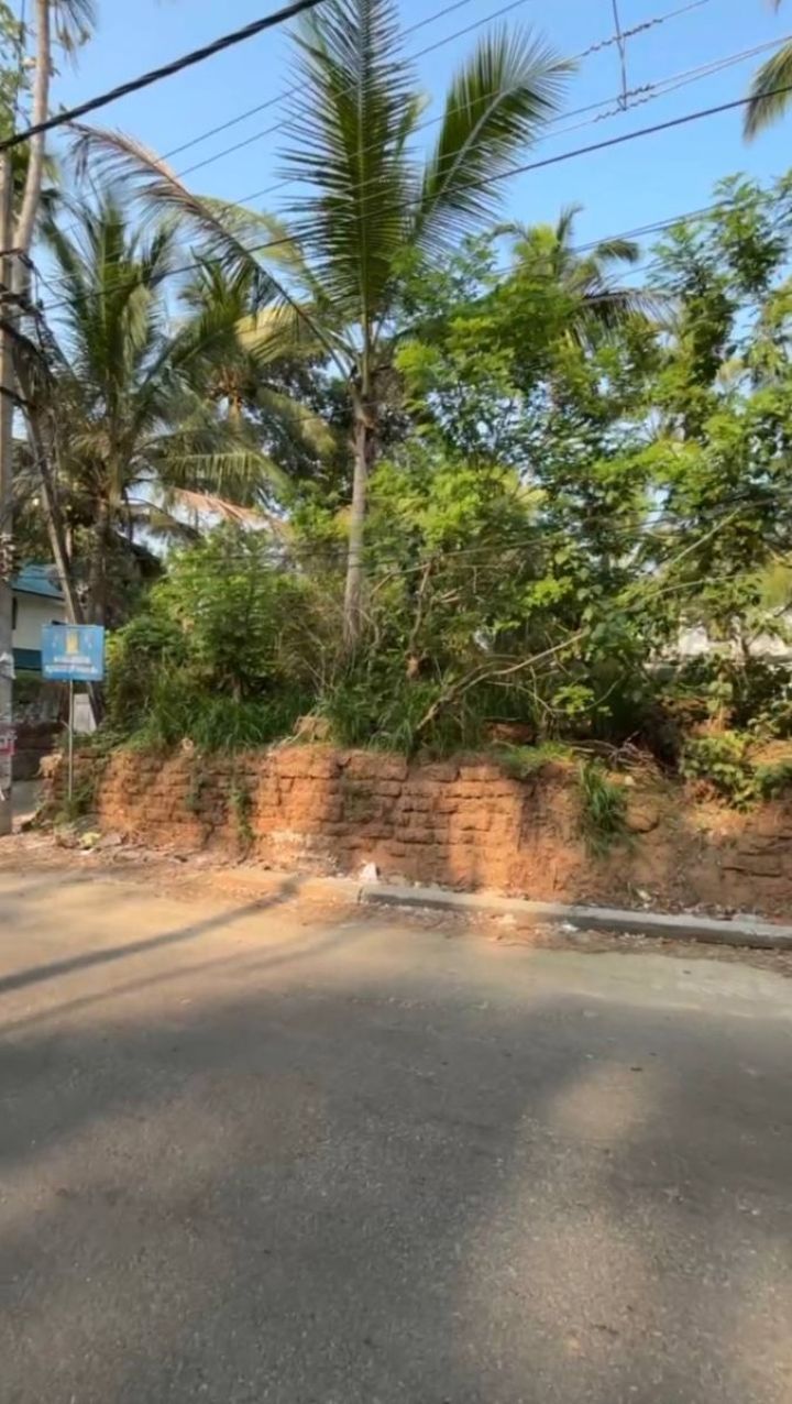 14 Cent Corner Plot Near Guruvayur