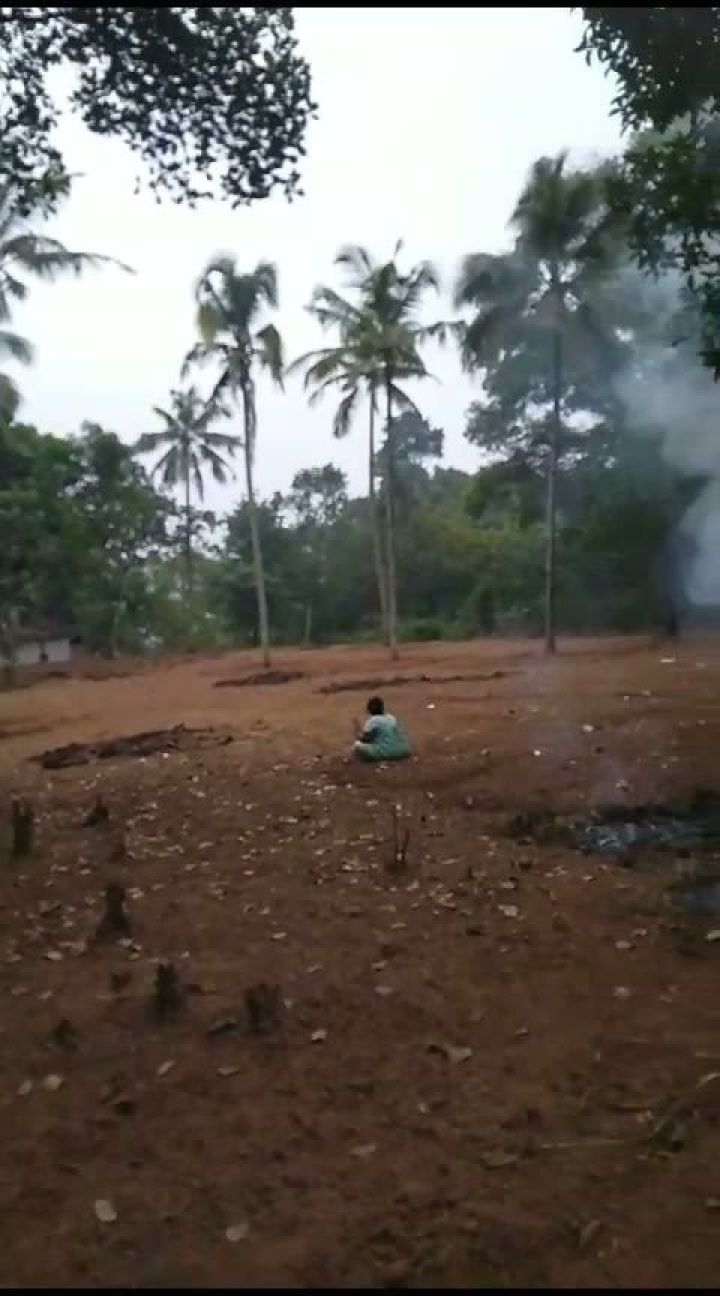 71 Cents Plot with House for Sale in East Kallada, Kollam
