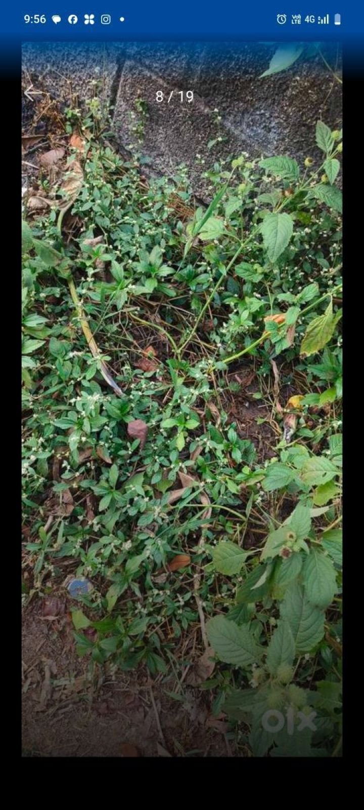 Hose plot land good plot negotiable