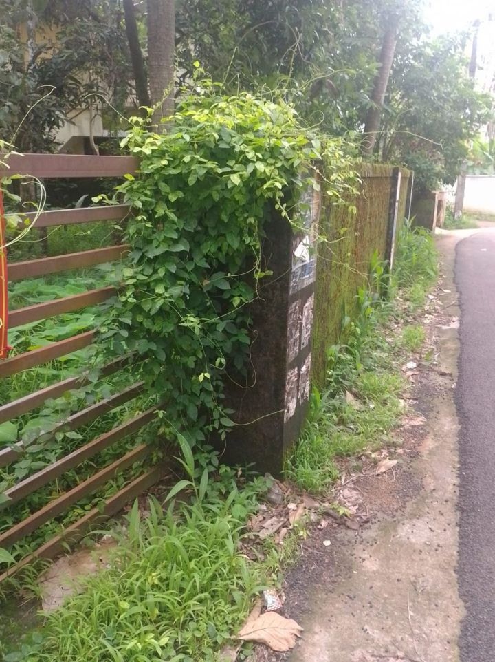 Commercial Land for Sale in Mg Road, Thrissur