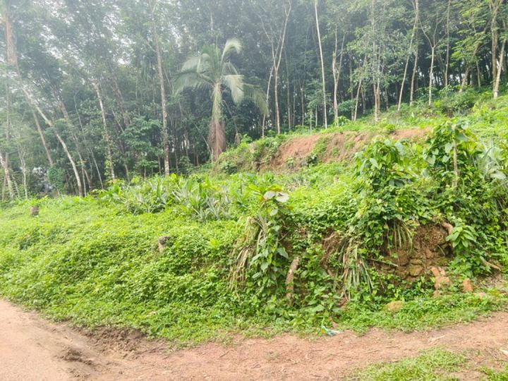 20 cent House Plot for Sale in Nilamel