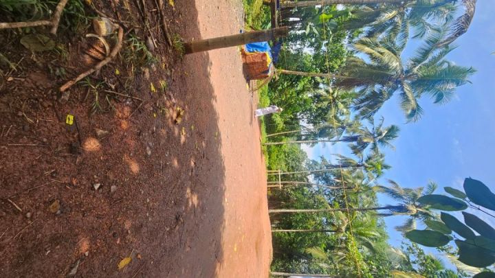 Property Suitable for House